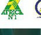 Africa N°1